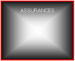 Zone de Texte: ASSURANCES