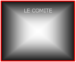 Zone de Texte: LE COMITE